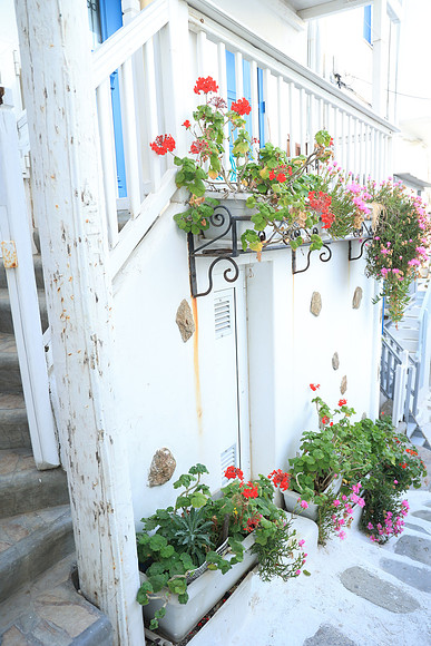 2024_Greece_Mykonos_44