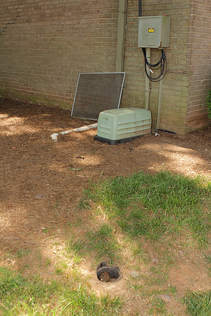 2610AD_B_ScreenandDrainCover