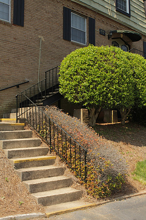 2616EH_Bushes