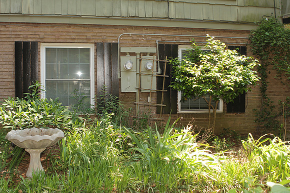 2626EH_TreeinWIndow and LaticeOverPower