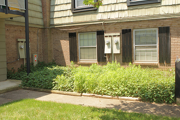 2628EH_RearCourtyardMaintain