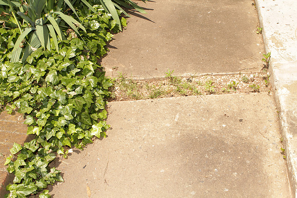 2630EH_CourtyardWalkway