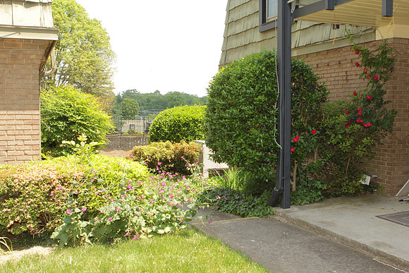 2630EH_LeftSide_Overgrown