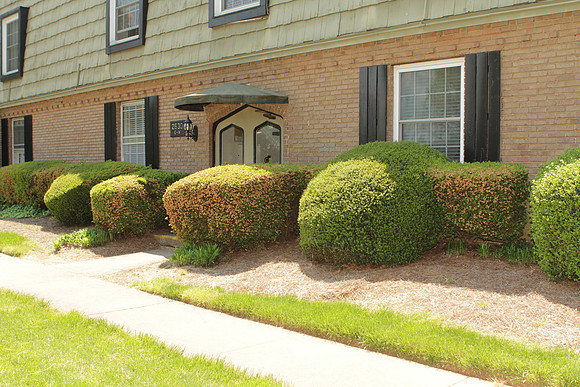 2630EH_RightBushes1