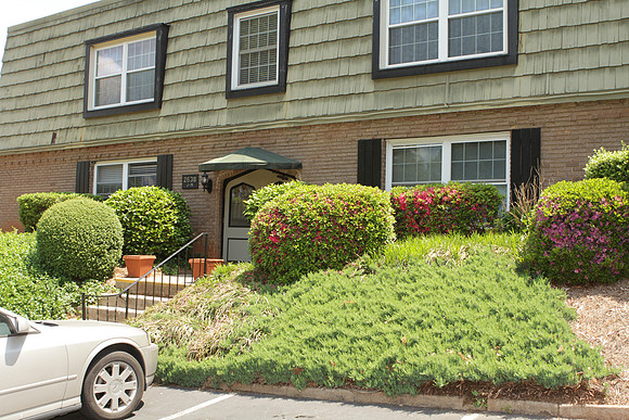 2638JM_Bushes