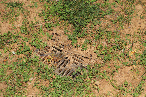 2638JM_RearDrainClogged