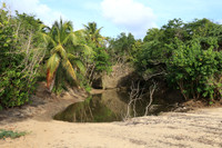 2025_Puerto_Rico_011