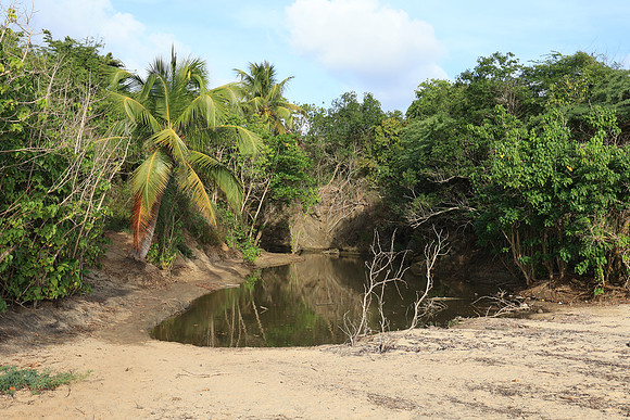 2025_Puerto_Rico_011