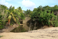 2025_Puerto_Rico_012