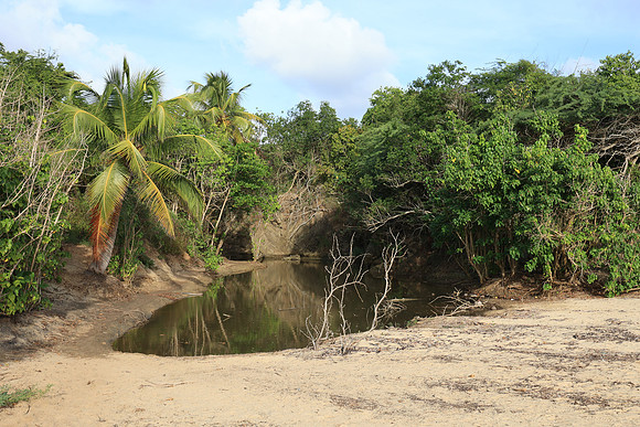 2025_Puerto_Rico_012