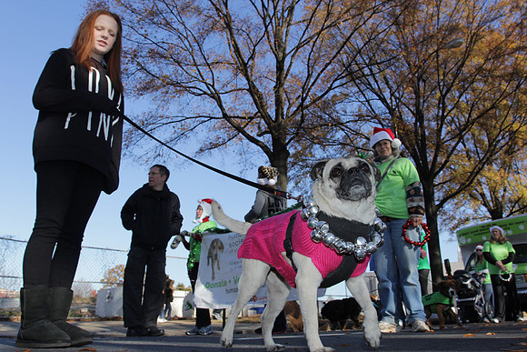 2012_Carrousel_Parade_0014