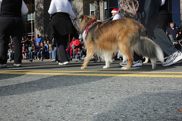 2012_Carrousel_Parade_0406