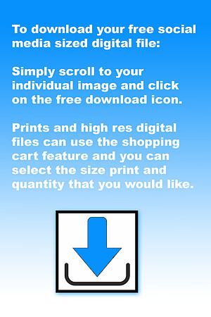 Download_Instructions