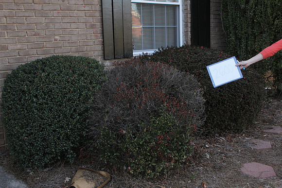 2013_DILWORTH_EDGE_003