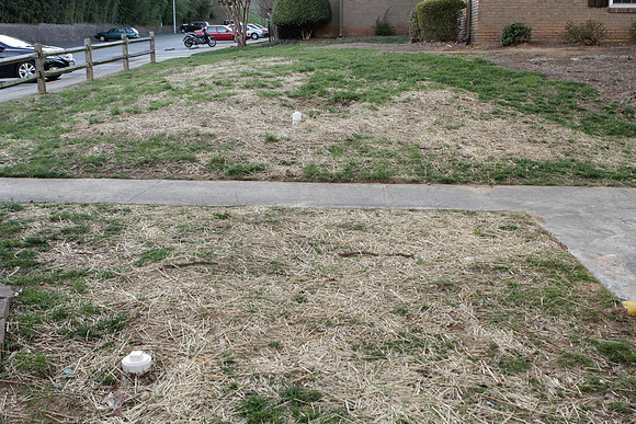 2013_DILWORTH_EDGE_004