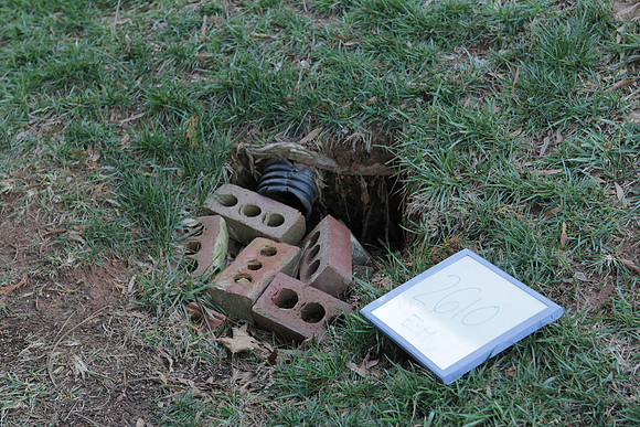 2013_DILWORTH_EDGE_019