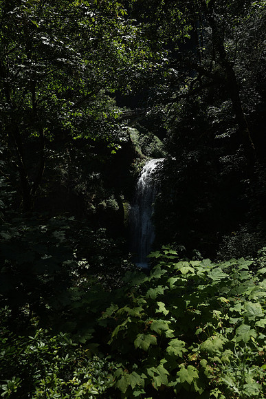 2026_Portland_45