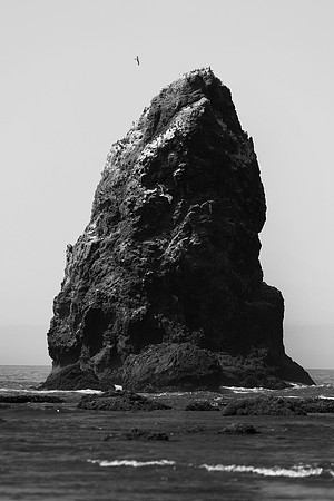 2026_Portland_96