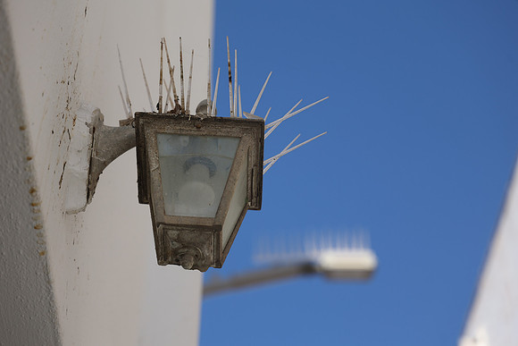2024_Greece_Mykonos_64