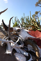 2026_Carmel_Monterey_019