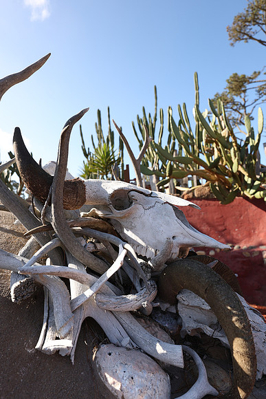 2026_Carmel_Monterey_019