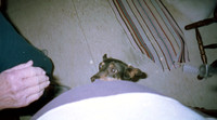 00663_n_26aw5lgstb00663