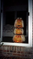 00455_n_26aw5lgstb00455