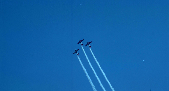 00335_n_26aw5lgstb00335