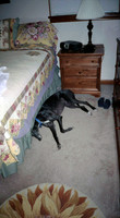 00483_n_26aw5lgstb00483