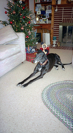 00462_n_26aw5lgstb00462
