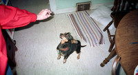 00662_n_26aw5lgstb00662