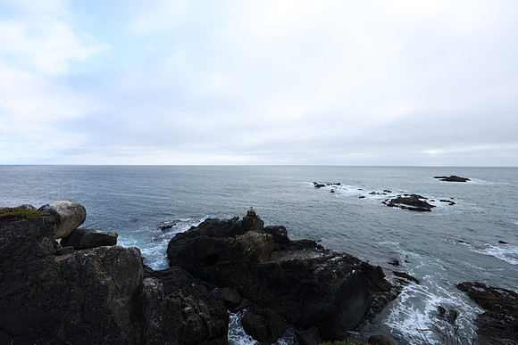 2026_Carmel_Monterey_112