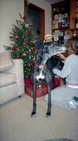 00465_n_26aw5lgstb00465