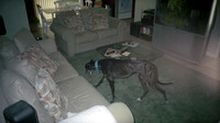 00127_n_26aw5lgstb00127