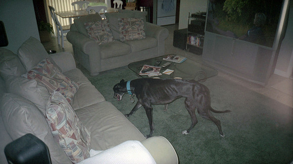 00127_n_26aw5lgstb00127