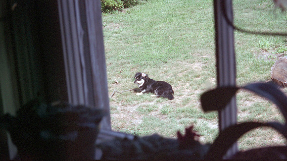 00039_n_26aw5lgstb00039