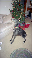 00463_n_26aw5lgstb00463