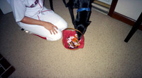 00446_n_26aw5lgstb00446