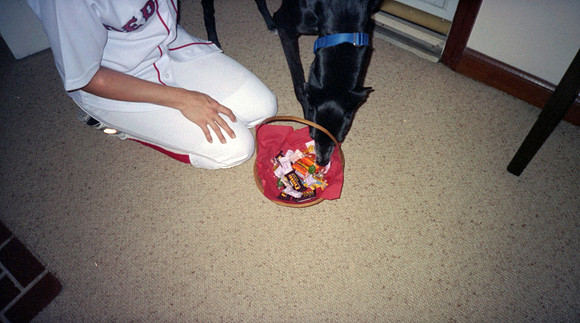 00446_n_26aw5lgstb00446