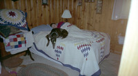 00132_n_26aw5lgstb00132