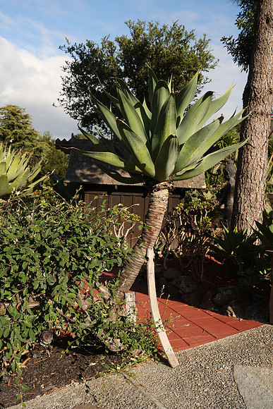 2026_Carmel_Monterey_042