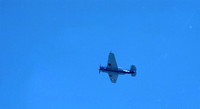 00312_n_26aw5lgstb00312