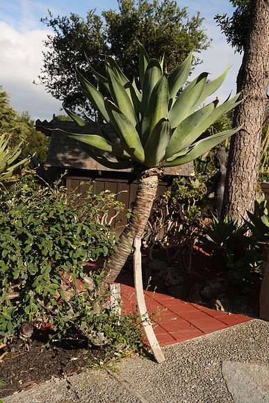 2026_Carmel_Monterey_041