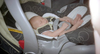 00575_n_26aw5lgstb00575