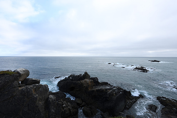 2026_Carmel_Monterey_111