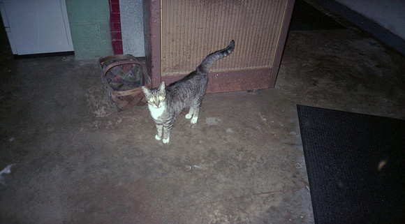 00117_n_26aw5lgstb00117