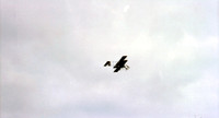 00074_n_26aw5lgstb00074