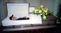 00682_n_26aw5lgstb00682