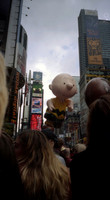 00434_n_26aw5lgstb00434