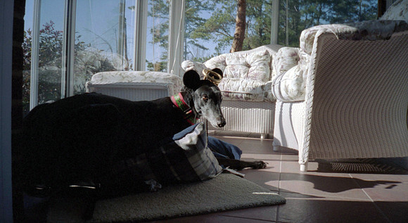 00461_n_26aw5lgstb00461